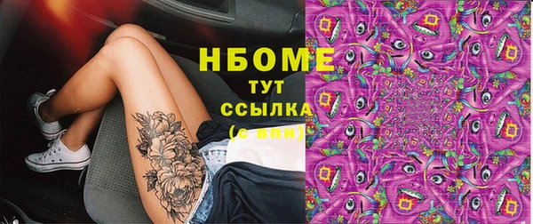 мдпв Новозыбков