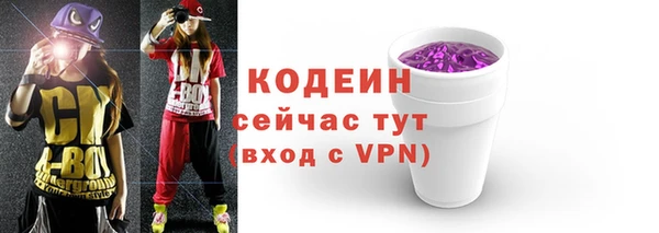 мдпв Новозыбков