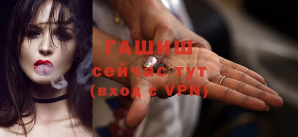 мдпв Новозыбков