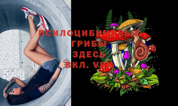 мдпв Новозыбков