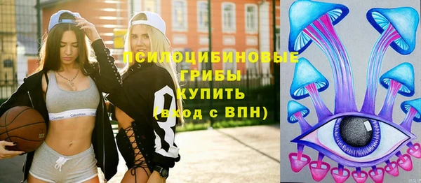 спайс Няндома
